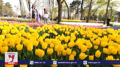 Lễ hội hoa tulip Istanbul 2022 tại Thổ Nhĩ Kỳ