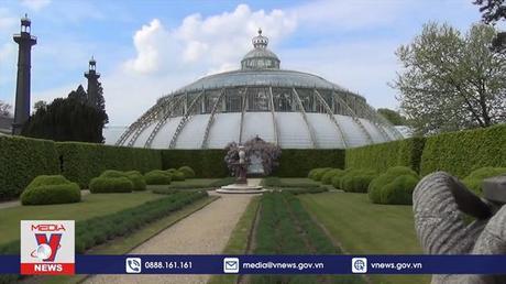 Quyến rũ vườn thượng uyển Hoàng gia Bỉ