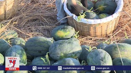 Xuất khẩu nông sản tăng tốc vào quý II