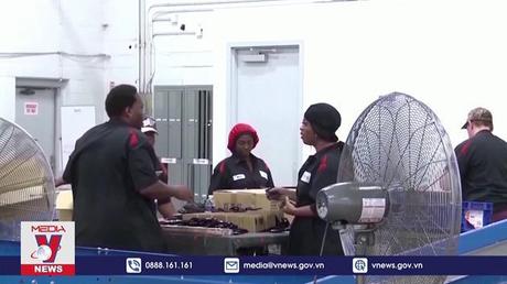 Tăng trưởng kinh tế Mỹ giảm trong quý I