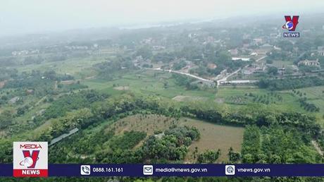 Trồng cây theo lời Bác