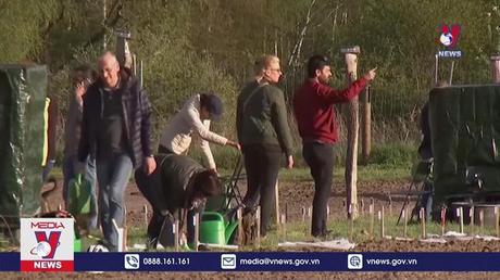 Tự trồng rau ứng phó lạm phát tăng cao