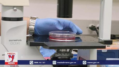 Nỗ lực tìm kiếm vaccine phòng mọi biến thể của SARS-CoV-2