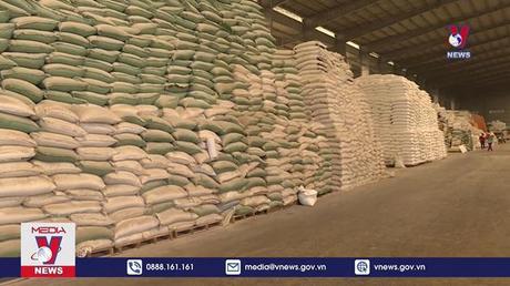 Gạo Việt tấp nập đơn hàng
