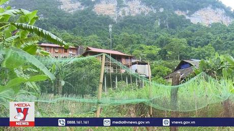 Bảo vệ môi trường đầu nguồn hồ Ba Bể