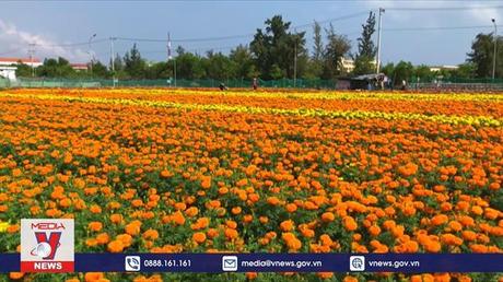 Phú Yên đổi thay từ xây dựng nông thôn mới