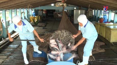 Nhật trình kinh tế ngày 04/5/2022