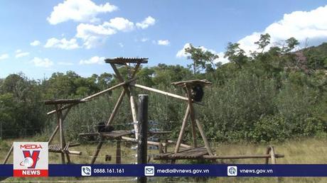 Nỗ lực bảo vệ đa dạng sinh học tại Nam Phi