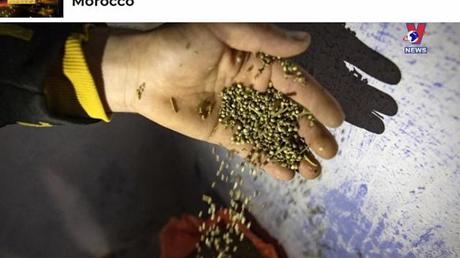 Đường dây nóng 389 ngày 04/5/2022