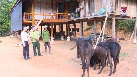 Tín dụng cho người nghèo ngày 07/5/2022