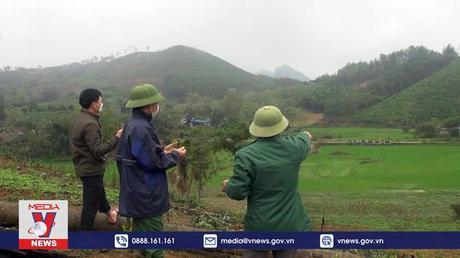 Người trồng rừng mong chờ thị trường tín chỉ carbon