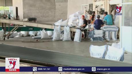 Xuất khẩu gạo Việt Nam vượt mốc 1 tỷ USD