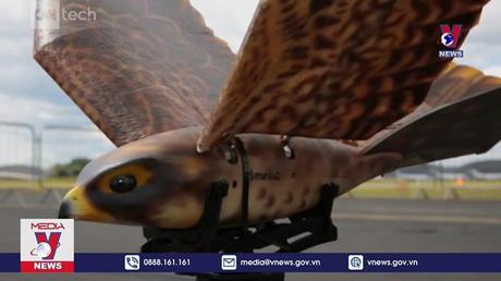 Ngăn chim trời va 