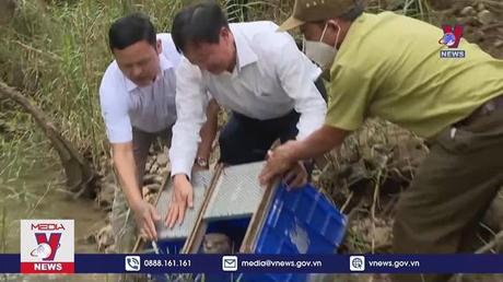 Thả gần 200 động vật hoang dã về tự nhiên ở Quảng Bình