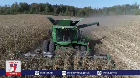 WB cảnh báo về khủng hoảng lương thực toàn cầu