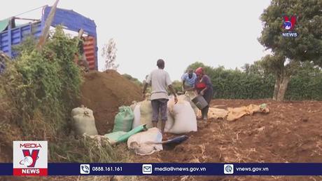 Ứng phó với bão giá phân bón toàn cầu