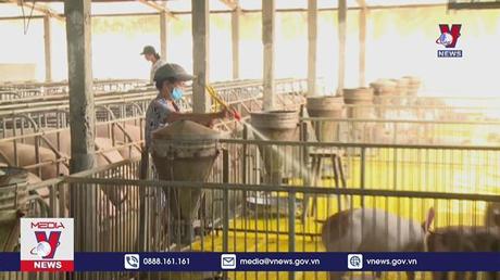 Dự báo tiêu thụ thịt lợn Việt Nam tăng mạnh