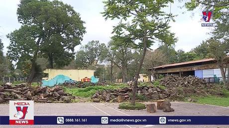 Bản tin Thời sự 06h ngày 10/5/2022