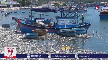 Biển Đầm Nại bị ô nhiễm rác thải nghiêm trọng 