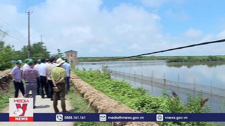 Phục hồi rừng ngập mặn vùng ĐB Sông Hồng