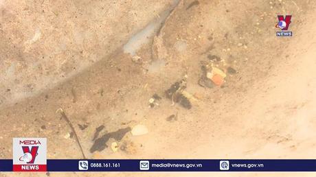 Số ca sốt xuất huyết tại TPHCM nặng tăng gấp 5 lần 