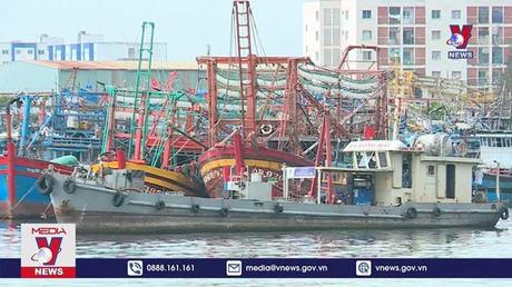 Bộ Nông nghiệp & Phát triển nông thôn đề nghị hỗ trợ ngư dân bám biển