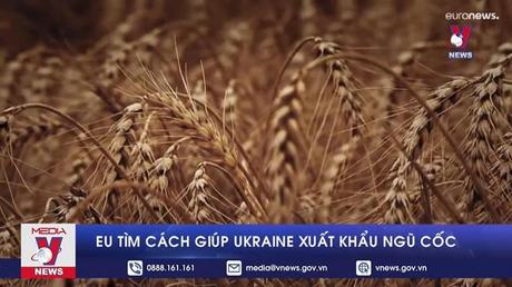 EU tìm cách giúp Ukraine xuất khẩu ngũ cốc