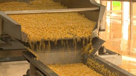 Thành tựu sau 15 thực hiện Nghị quyết về Tam Nông