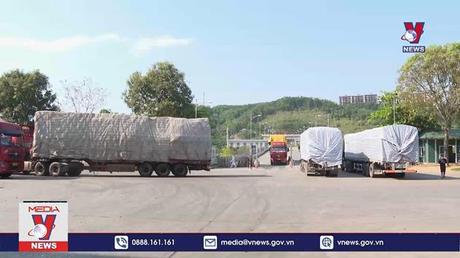Giám sát cửa khẩu để phát hiện sớm ca viêm gan cấp tính