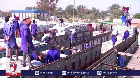  Ấn Độ ngừng xuất khẩu lúa mỳ