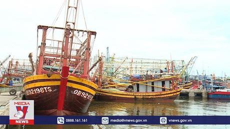 Ngư dân vượt bão giá xăng dầu tiếp tục vươn khơi