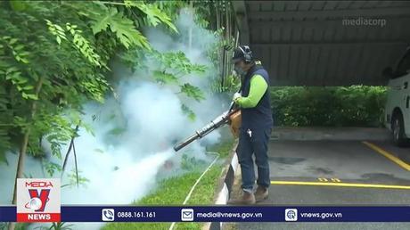 Dịch sốt xuất huyết bùng phát mạnh tại Singapore