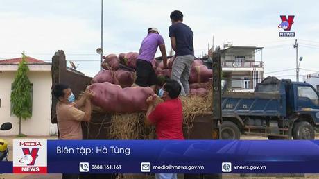 Hàng triệu tấn nông sản chưa có đầu ra