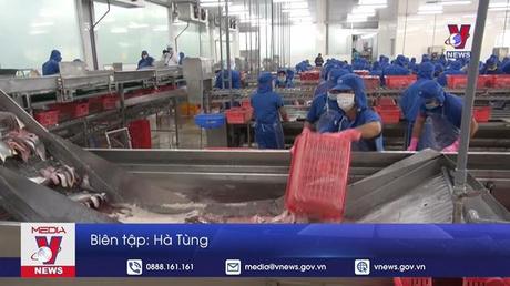 Xuất khẩu cá tra sang Canada tăng hơn 69%