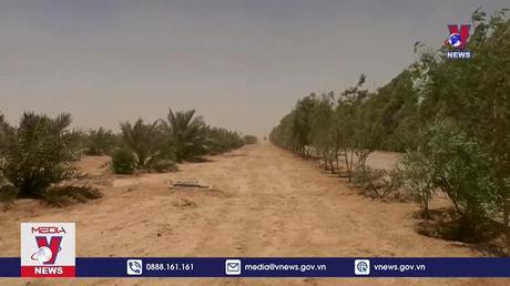 Sáng kiến vành đai xanh chống bão cát