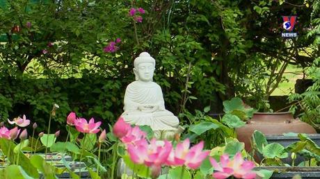 Asean kết nối ngày 17/5/2022