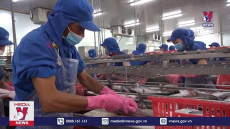 Thêm 2 doanh nghiệp đủ điều kiện xuất khẩu cá tra vào Liên minh kinh tế Á - Âu