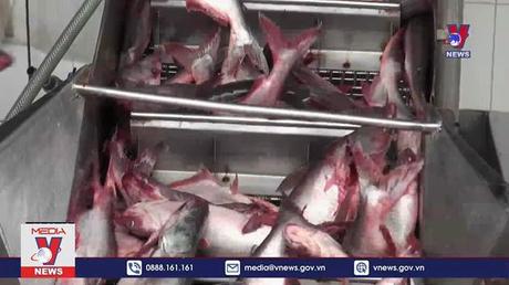 Công nhận 19 nhà máy chế biến cá tra được xuất khẩu vào Mỹ
