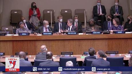 LHQ nỗ lực nối lại xuất khẩu ngũ cốc của Ukraine