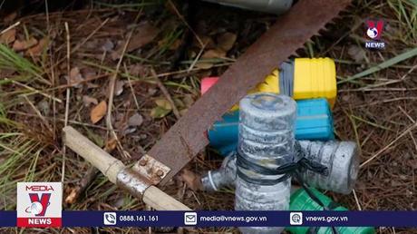 Kiểm tra vụ phá rừng thông quy mô lớn tại Đà Lạt