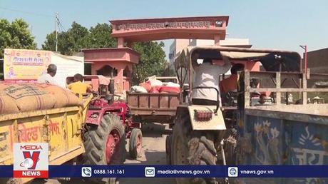 WB hỗ trợ ứng phó khủng hoảng lương thực