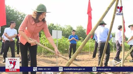 Bình Phước phát động trồng gần 800.000 cây xanh