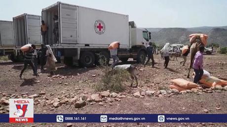 G7 thành lập liên minh vì an ninh lương thực toàn cầu