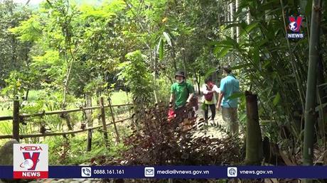 Bản tin Thời sự 8h ngày 20/5/2022