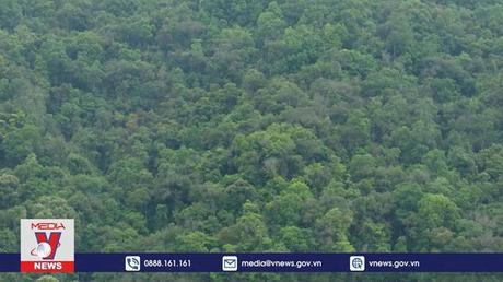 Hỗ trợ gạo giúp người dân Sơn La gắn bó với rừng