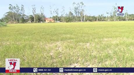 Đề xuất tăng mức hỗ trợ sản xuất nông nghiệp bị thiệt hại