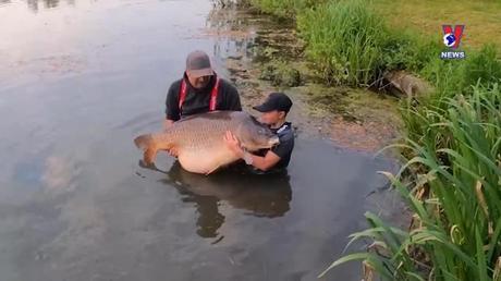 Con số trong tuần ngày 21/5/2022