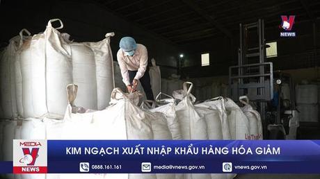 Kim ngạch xuất nhập khẩu hàng hóa giảm