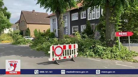 Bão lớn gây thiệt hại nghiêm trọng tại Đức