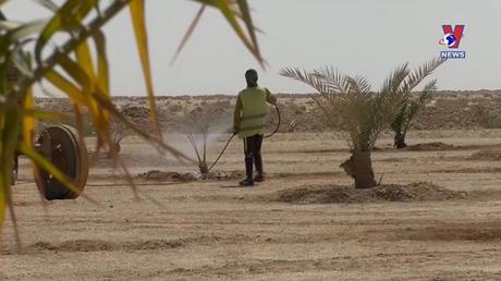 Cuộc sống xanh ngày 22/5/2022